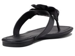 Aerosoles Calla -Aerosoles Store 61D5NAQvahL