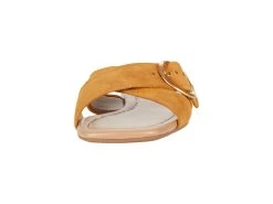 Aerosoles Everlee -Aerosoles Store 61DpZLWBfZL