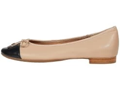 Aerosoles Celia -Aerosoles Store 61L9tneyNlL