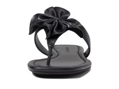 Aerosoles Calla -Aerosoles Store 61VJVymBHrL