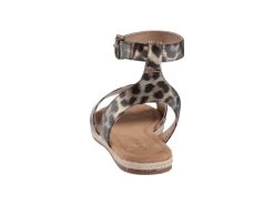 Aerosoles Demarest -Aerosoles Store 61fdAyRIzL