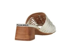 Aerosoles Evette -Aerosoles Store 61xRFq6niqL