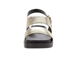 Aerosoles Leggenda -Aerosoles Store 61yM4hfqyuL