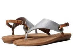 Aerosoles In Conchlusion