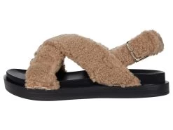 Aerosoles Loma -Aerosoles Store 71T0mBYr2L