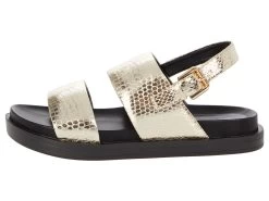 Aerosoles Leggenda -Aerosoles Store 71iwZfIcFtL