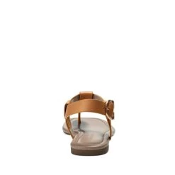 Aerosoles Carmina Thong Sandal -Aerosoles Store CARMINA 1753773 15