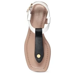 Aerosoles Carmina Thong Sandal -Aerosoles Store CARMINA 1753773 4