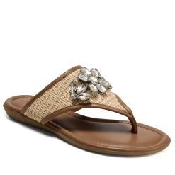 Aerosoles Cherie Thong Sandal -Aerosoles Store CHERIE 1753773 6 102888d9 6f25 4f87 a914 7d9d05708eb4
