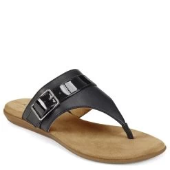 Aerosoles Cranbury Buckle Thong Sandal -Aerosoles Store CRANBURY 1753773 14