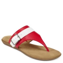Aerosoles Cranbury Buckle Thong Sandal -Aerosoles Store CRANBURY 1753773 20