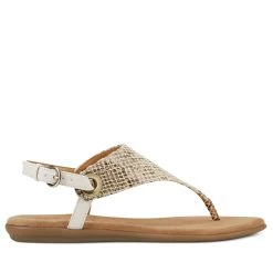 Aerosoles In Conchlusion Thong Sandal 39 Aerosoles In Conchlusion Thong Sandal -Aerosoles Store IN CONCHLUSION 1753773 20