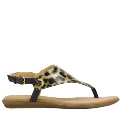 Aerosoles In Conchlusion Thong Sandal 27 Aerosoles In Conchlusion Thong Sandal -Aerosoles Store IN CONCHLUSION 1753773 8